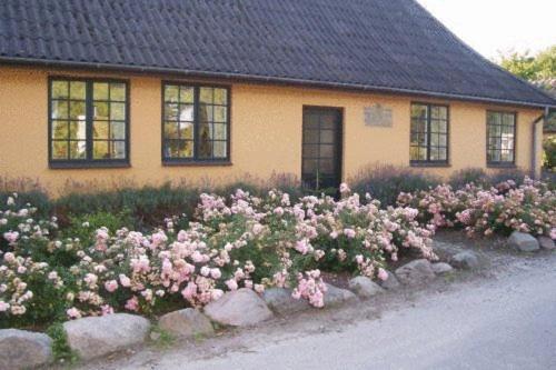 Dyrlev Bed & Breakfast Præstø Kültér fotó