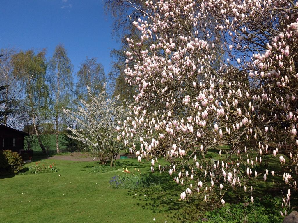 Dyrlev Bed & Breakfast Præstø Kültér fotó