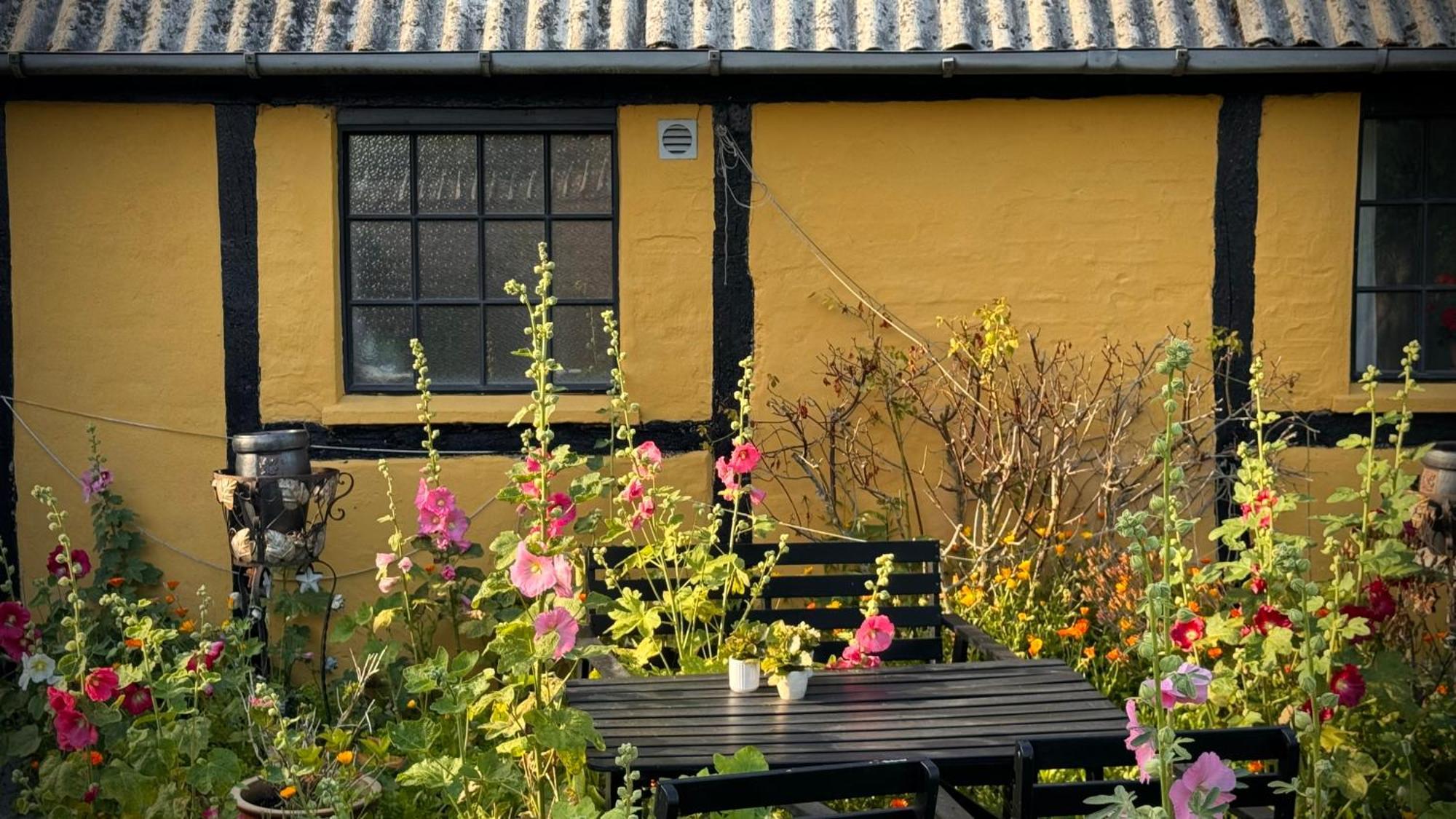 Dyrlev Bed & Breakfast Præstø Kültér fotó