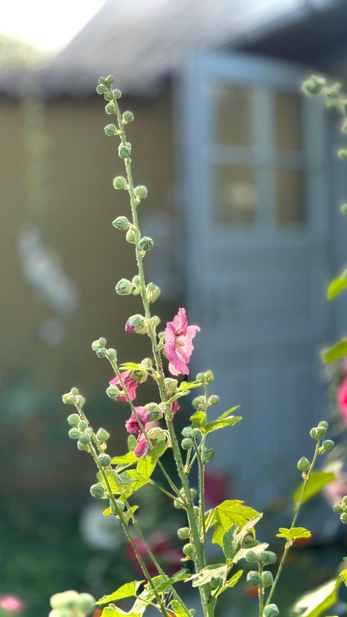 Dyrlev Bed & Breakfast Præstø Kültér fotó